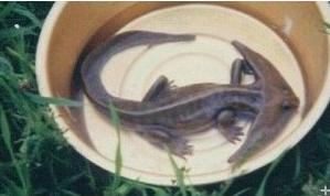 DNF奇葩装备大盘点这些道具你绝对想不到！莫走开，精彩继续