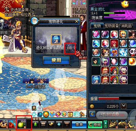 DNF木瓜获取与使用方法进化6周年宠物属性全解析