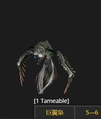 魔兽世界WLK怀旧服猫头鹰捕捉地点大揭秘