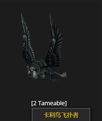 魔兽世界WLK怀旧服猫头鹰捕捉地点大揭秘