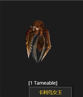 魔兽世界WLK怀旧服猫头鹰捕捉地点大揭秘