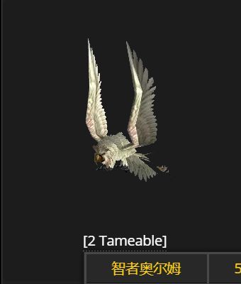 魔兽世界WLK怀旧服猫头鹰捕捉地点大揭秘