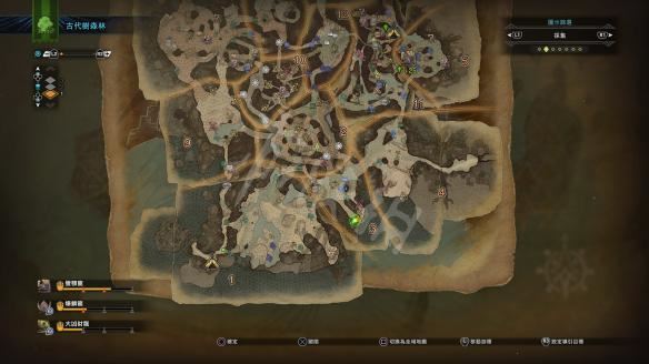 怪物猎人世界小动物捕捉全攻略，收集方法大揭秘