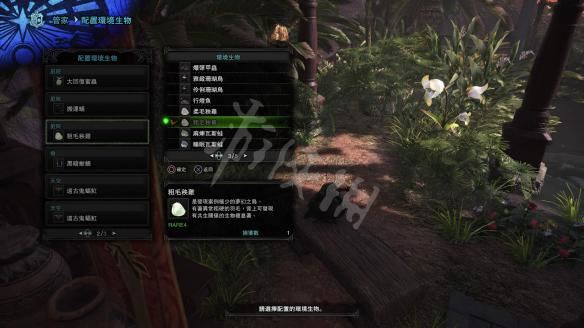 怪物猎人世界小动物捕捉全攻略，收集方法大揭秘