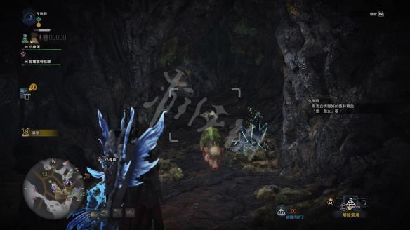 怪物猎人世界小动物捕捉全攻略，收集方法大揭秘