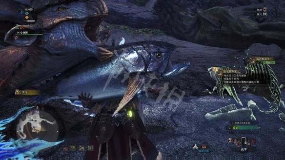 怪物猎人世界小动物捕捉全攻略，收集方法大揭秘