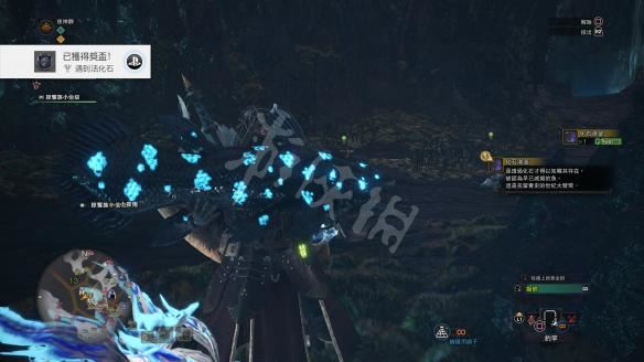 怪物猎人世界小动物捕捉全攻略，收集方法大揭秘