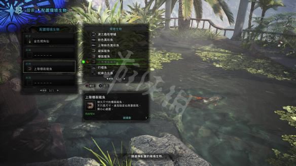 怪物猎人世界小动物捕捉全攻略，收集方法大揭秘