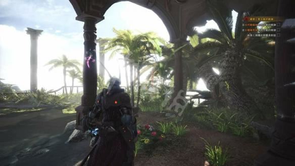 怪物猎人世界小动物捕捉全攻略，收集方法大揭秘