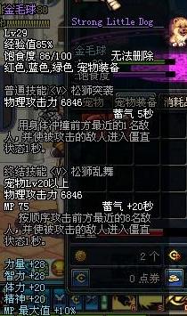 DNF宠物全收录详细解析各宠物属性