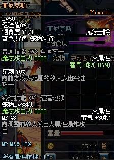 DNF宠物全收录详细解析各宠物属性