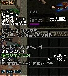 DNF宠物全收录详细解析各宠物属性