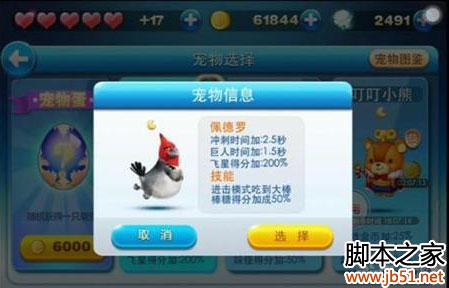 天天酷跑里约大冒险宠物图鉴大全