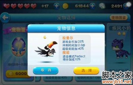 天天酷跑里约大冒险宠物图鉴大全