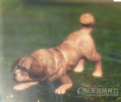 天涯明月刀OL全地图宠物捕捉地点与图鉴大全