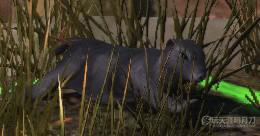 天涯明月刀OL全地图宠物捕捉地点与图鉴大全