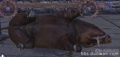 天涯明月刀OL全地图宠物捕捉地点与图鉴大全