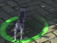 天涯明月刀OL全地图宠物捕捉地点与图鉴大全