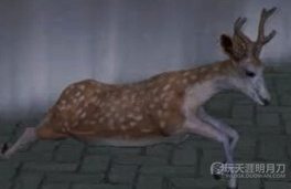 天涯明月刀OL全地图宠物捕捉地点与图鉴大全