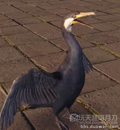 天涯明月刀OL全地图宠物捕捉地点与图鉴大全