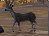 天涯明月刀OL全地图宠物捕捉地点与图鉴大全