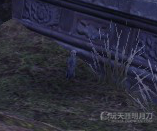 天涯明月刀OL全地图宠物捕捉地点与图鉴大全