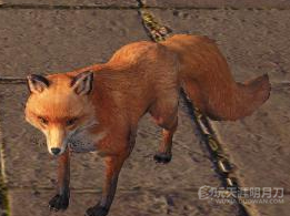 天涯明月刀OL全地图宠物捕捉地点与图鉴大全