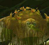 魔兽世界怀旧服玛拉顿副本详尽攻略,含路线、BOSS打法及物品掉落