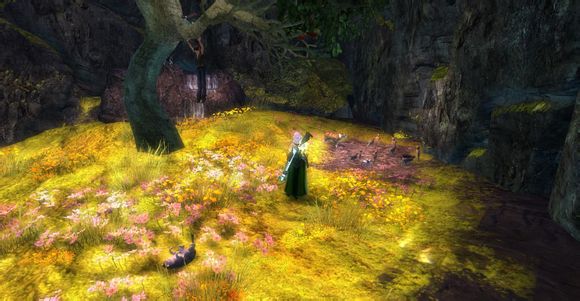 激战2边境之地神秘猫洞的探险指南