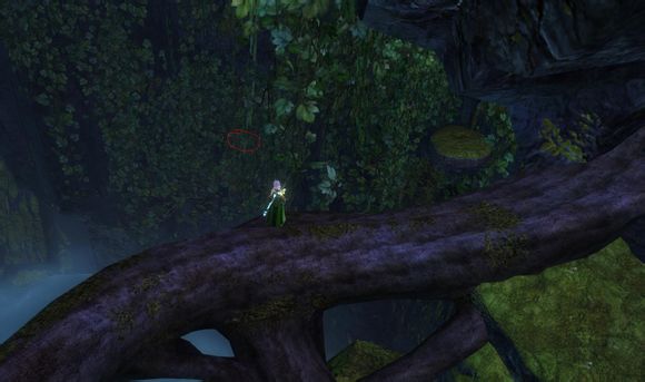 激战2边境之地神秘猫洞的探险指南