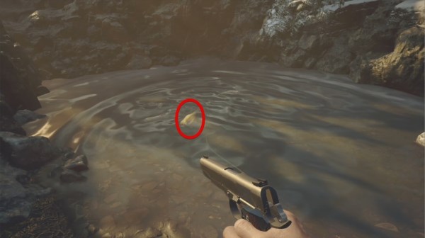 生化危机8高级食材获取途径及推荐菜肴