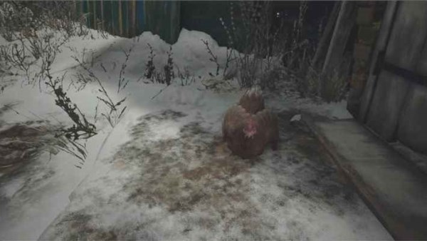 生化危机8高级食材获取途径及推荐菜肴