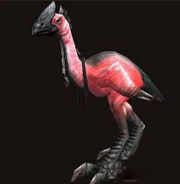 魔兽世界6.0情人节爱情鸟雏鸟奖励及获取攻略