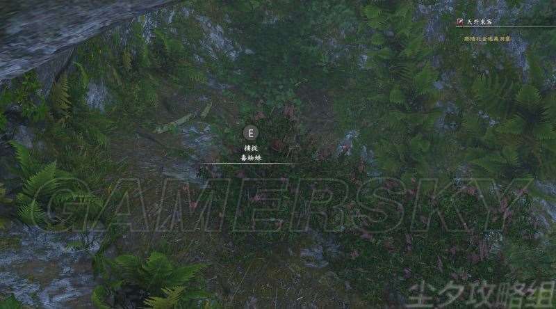 河洛群侠传全任务流程与道具收集图文攻略精解