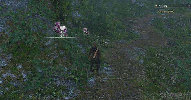 河洛群侠传全任务流程与道具收集图文攻略精解