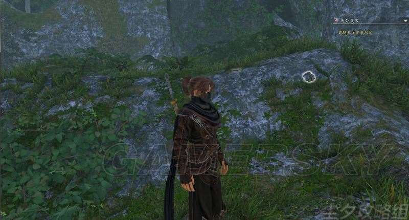 河洛群侠传全任务流程与道具收集图文攻略精解