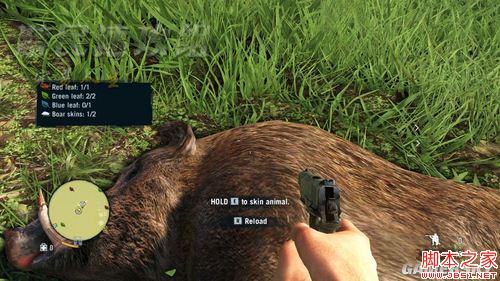 孤岛惊魂3第一章全流程图文攻略详解