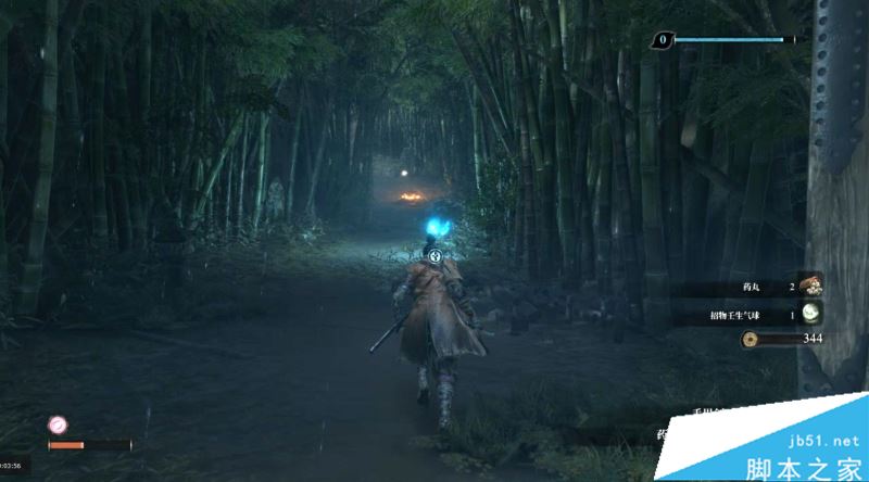 只狼影逝二度全流程图文攻略及BOSS打法详解