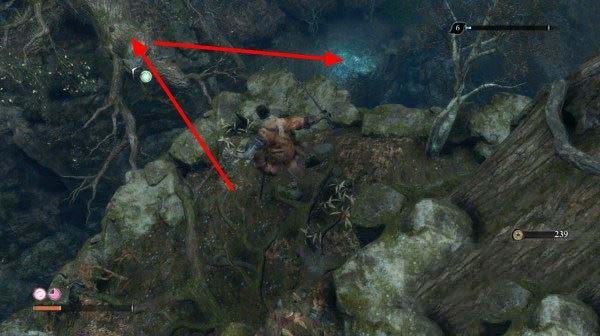 只狼影逝二度全流程图文攻略及BOSS打法详解