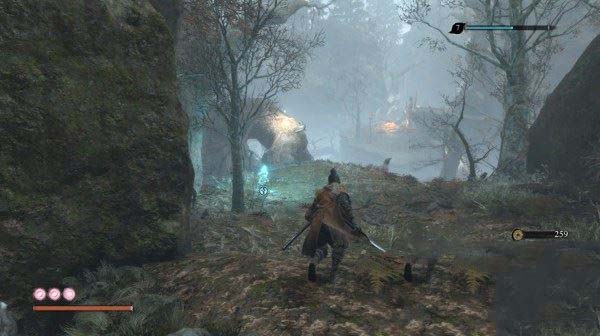 只狼影逝二度全流程图文攻略及BOSS打法详解