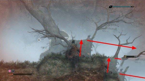 只狼影逝二度全流程图文攻略及BOSS打法详解