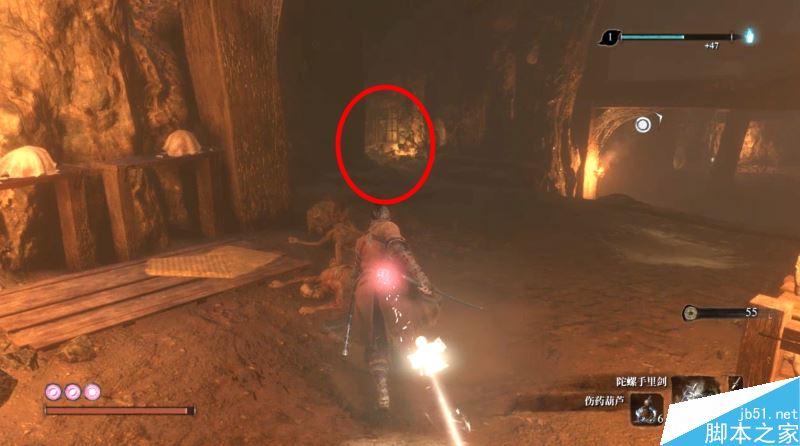 只狼影逝二度全流程图文攻略及BOSS打法详解