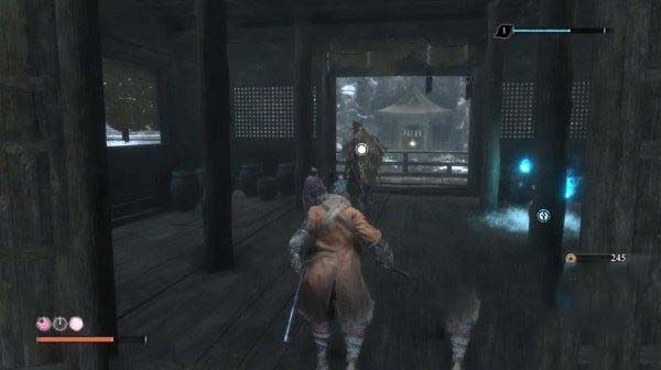 只狼影逝二度全流程图文攻略及BOSS打法详解