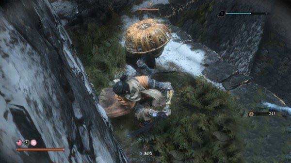 只狼影逝二度全流程图文攻略及BOSS打法详解