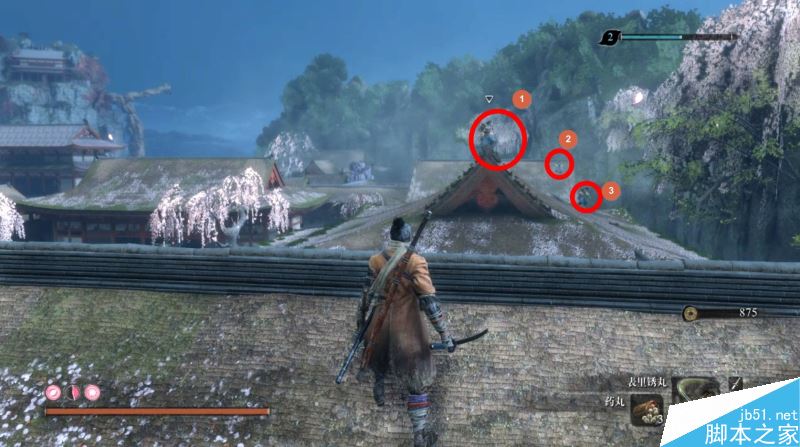 只狼影逝二度全流程图文攻略及BOSS打法详解