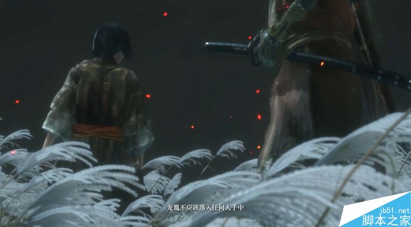 只狼影逝二度全流程图文攻略及BOSS打法详解