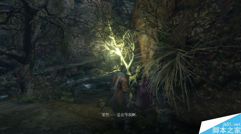 只狼影逝二度全流程图文攻略及BOSS打法详解