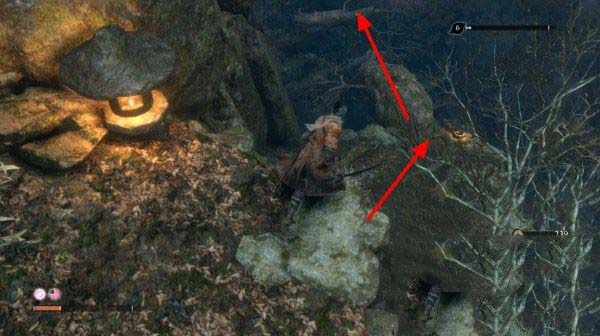 只狼影逝二度全流程图文攻略及BOSS打法详解