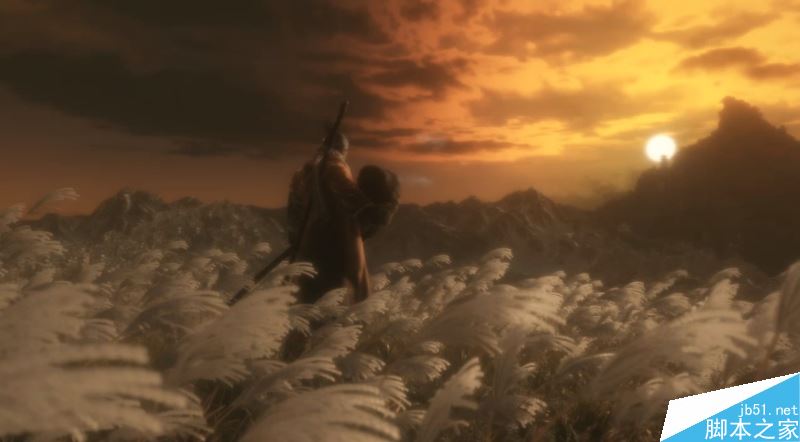 只狼影逝二度全流程图文攻略及BOSS打法详解