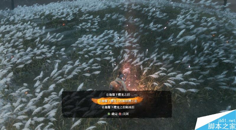 只狼影逝二度全流程图文攻略及BOSS打法详解